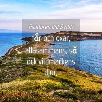 Picture 04 - Psaltaren 8:8 SV1917 - får och oxar, allasammans, så ock vildmarkens - Bible Verse Picture