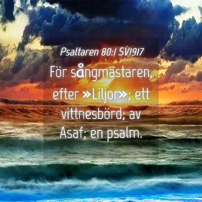 Picture 04 - Psaltaren 80:1 SV1917 - För sångmästaren, efter »Liljor»; ett - Bible Verse Picture