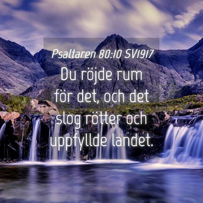 Picture 04 - Psaltaren 80:10 SV1917 - Du röjde rum för det, och det slog rötter och - Bible Verse Picture