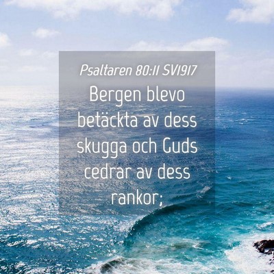 Picture 04 - Psaltaren 80:11 SV1917 - Bergen blevo betäckta av dess skugga och Guds - Bible Verse Picture
