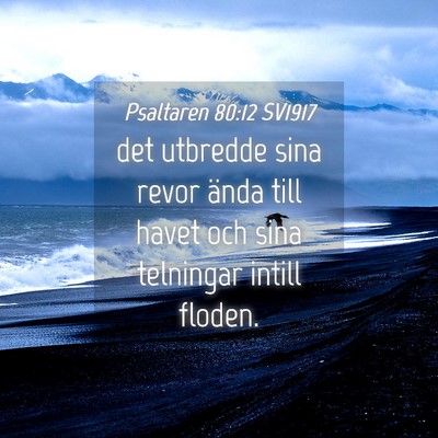 Picture 04 - Psaltaren 80:12 SV1917 - det utbredde sina revor ända till havet och sina - Bible Verse Picture