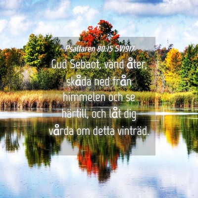 Picture 04 - Psaltaren 80:15 SV1917 - Gud Sebaot, vänd åter, skåda ned från - Bible Verse Picture
