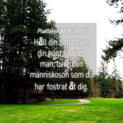 Picture 04 - Psaltaren 80:18 SV1917 - Håll din hand över din högra hands man, över - Bible Verse Picture