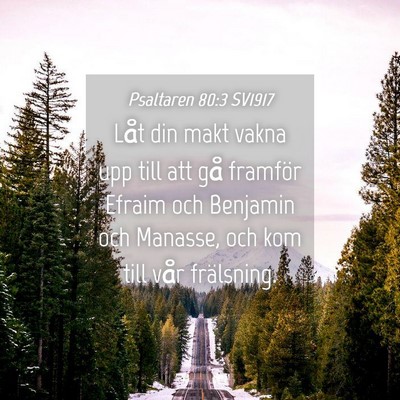 Picture 04 - Psaltaren 80:3 SV1917 - Låt din makt vakna upp till att gå framför - Bible Verse Picture