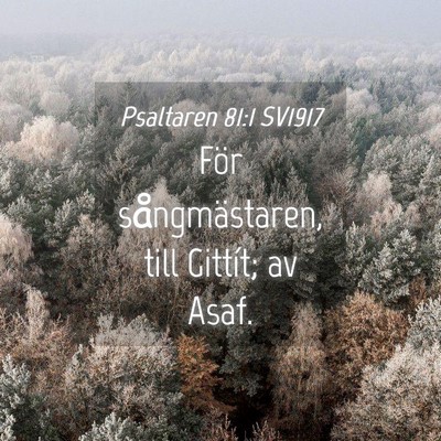 Picture 04 - Psaltaren 81:1 SV1917 - För sångmästaren, till Gittít; av - Bible Verse Picture