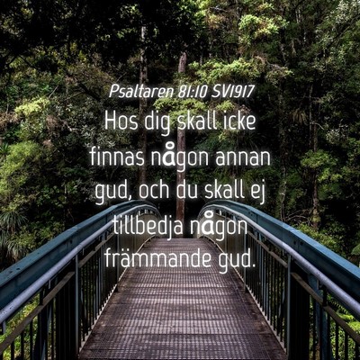 Picture 04 - Psaltaren 81:10 SV1917 - Hos dig skall icke finnas någon annan gud, och - Bible Verse Picture