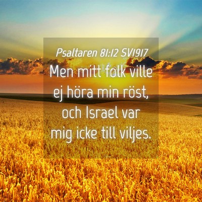 Picture 04 - Psaltaren 81:12 SV1917 - Men mitt folk ville ej höra min röst, och - Bible Verse Picture