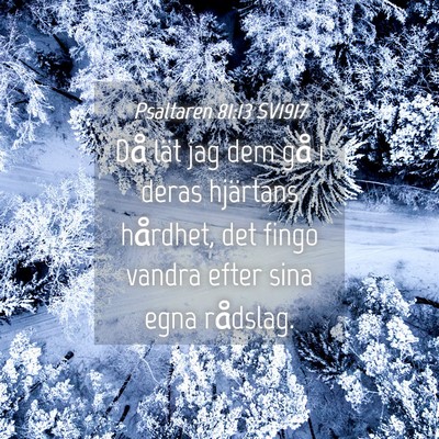Picture 04 - Psaltaren 81:13 SV1917 - Då lät jag dem gå i deras hjärtans hårdhet, - Bible Verse Picture