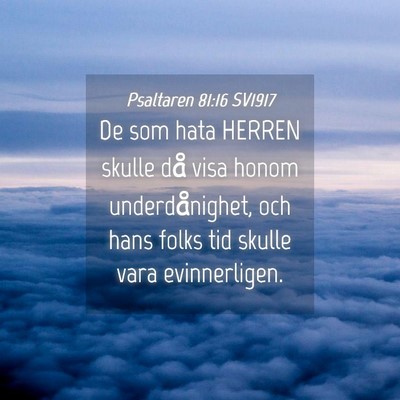 Picture 04 - Psaltaren 81:16 SV1917 - De som hata HERREN skulle då visa honom - Bible Verse Picture