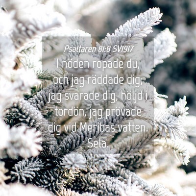 Picture 04 - Psaltaren 81:8 SV1917 - I nöden ropade du, och jag räddade dig; jag - Bible Verse Picture