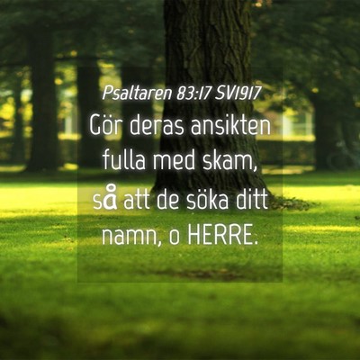 Picture 04 - Psaltaren 83:17 SV1917 - Gör deras ansikten fulla med skam, så att de - Bible Verse Picture