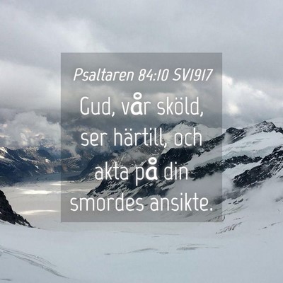 Picture 04 - Psaltaren 84:10 SV1917 - Gud, vår sköld, ser härtill, och akta på din - Bible Verse Picture
