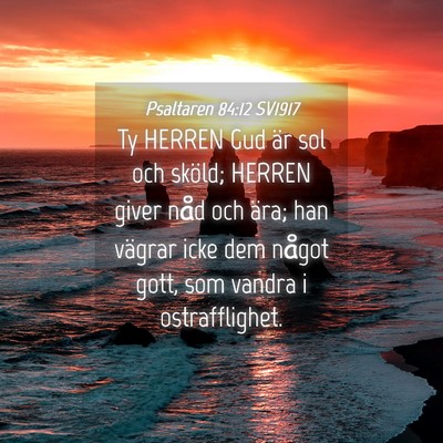 Picture 04 - Psaltaren 84:12 SV1917 - Ty HERREN Gud är sol och sköld; HERREN giver - Bible Verse Picture