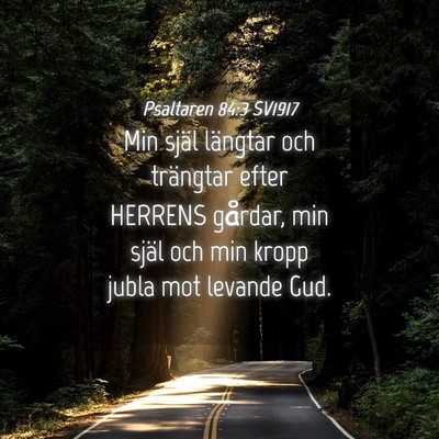 Picture 04 - Psaltaren 84:3 SV1917 - Min själ längtar och trängtar efter HERRENS - Bible Verse Picture