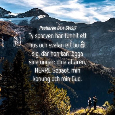Picture 04 - Psaltaren 84:4 SV1917 - Ty sparven har funnit ett hus och svalan ett bo - Bible Verse Picture