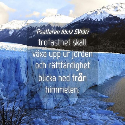 Picture 04 - Psaltaren 85:12 SV1917 - trofasthet skall växa upp ur jorden och - Bible Verse Picture