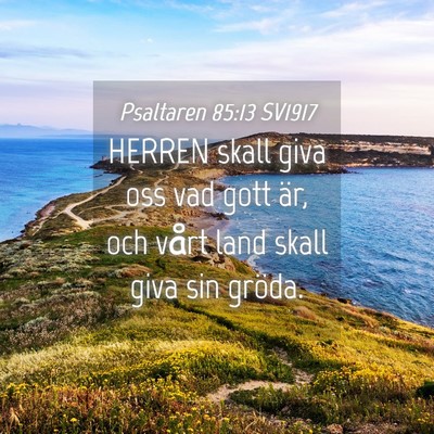 Picture 04 - Psaltaren 85:13 SV1917 - HERREN skall giva oss vad gott är, och vårt - Bible Verse Picture