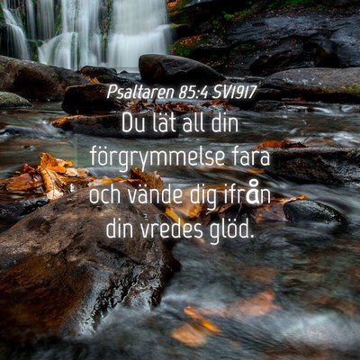 Picture 04 - Psaltaren 85:4 SV1917 - Du lät all din förgrymmelse fara och vände dig - Bible Verse Picture