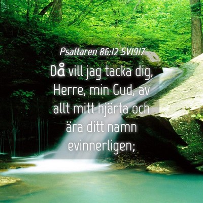 Picture 04 - Psaltaren 86:12 SV1917 - Då vill jag tacka dig, Herre, min Gud, av allt - Bible Verse Picture