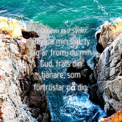 Picture 04 - Psaltaren 86:2 SV1917 - Bevara min själ, ty jag är from; du min Gud, - Bible Verse Picture