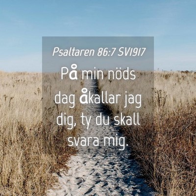 Picture 04 - Psaltaren 86:7 SV1917 - På min nöds dag åkallar jag dig, ty du skall - Bible Verse Picture