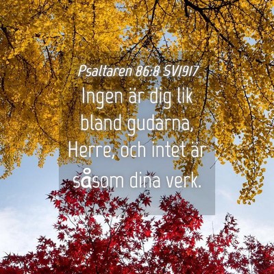 Picture 04 - Psaltaren 86:8 SV1917 - Ingen är dig lik bland gudarna, Herre, och intet - Bible Verse Picture