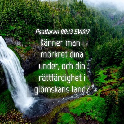 Picture 04 - Psaltaren 88:13 SV1917 - Känner man i mörkret dina under, och din - Bible Verse Picture
