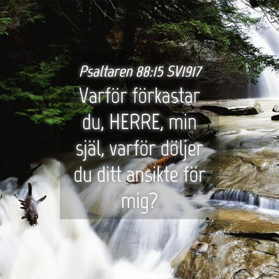 Picture 04 - Psaltaren 88:15 SV1917 - Varför förkastar du, HERRE, min själ, varför - Bible Verse Picture