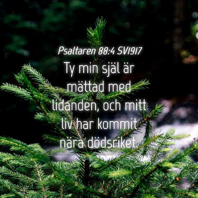 Picture 04 - Psaltaren 88:4 SV1917 - Ty min själ är mättad med lidanden, och mitt - Bible Verse Picture