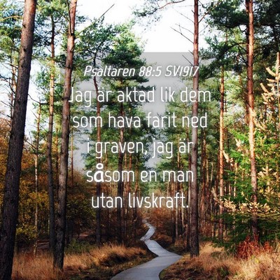 Picture 04 - Psaltaren 88:5 SV1917 - Jag är aktad lik dem som hava farit ned i - Bible Verse Picture