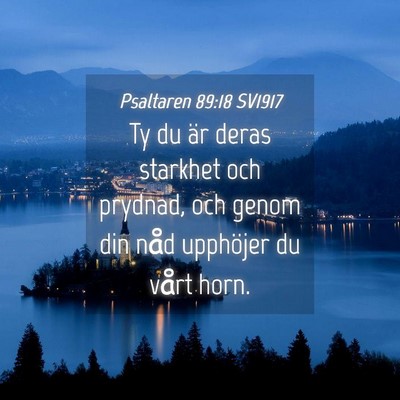 Picture 04 - Psaltaren 89:18 SV1917 - Ty du är deras starkhet och prydnad, och genom - Bible Verse Picture
