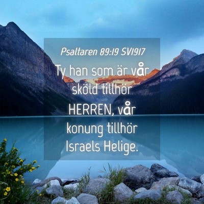 Picture 04 - Psaltaren 89:19 SV1917 - Ty han som är vår sköld tillhör HERREN, vår - Bible Verse Picture