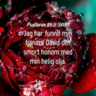 Picture 04 - Psaltaren 89:21 SV1917 - Jag har funnit min tjänare David och smort honom - Bible Verse Picture