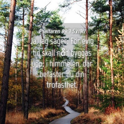 Picture 04 - Psaltaren 89:3 SV1917 - Ja, jag säger: För evig tid skall nåd byggas - Bible Verse Picture