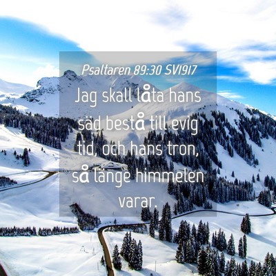 Picture 04 - Psaltaren 89:30 SV1917 - Jag skall låta hans säd bestå till evig tid, - Bible Verse Picture