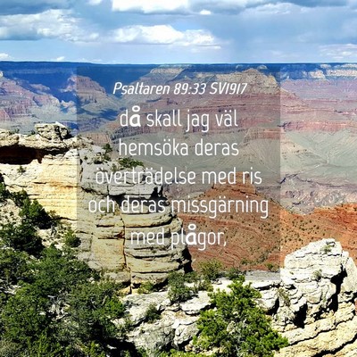 Picture 04 - Psaltaren 89:33 SV1917 - då skall jag väl hemsöka deras överträdelse - Bible Verse Picture