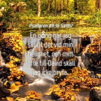 Picture 04 - Psaltaren 89:36 SV1917 - En gång har jag svurit det vid min helighet, och - Bible Verse Picture