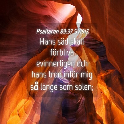 Picture 04 - Psaltaren 89:37 SV1917 - Hans säd skall förbliva evinnerligen och hans - Bible Verse Picture