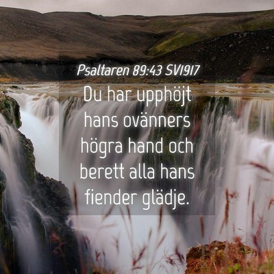 Picture 04 - Psaltaren 89:43 SV1917 - Du har upphöjt hans ovänners högra hand och - Bible Verse Picture