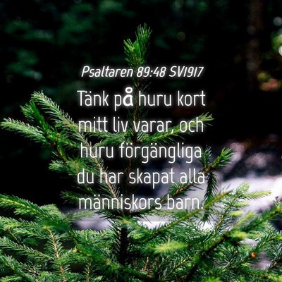 Picture 04 - Psaltaren 89:48 SV1917 - Tänk på huru kort mitt liv varar, och huru - Bible Verse Picture