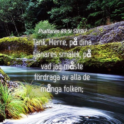 Picture 04 - Psaltaren 89:51 SV1917 - Tänk, Herre, på dina tjänares smälek, på vad - Bible Verse Picture