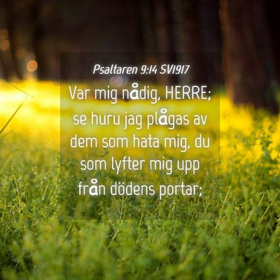 Picture 04 - Psaltaren 9:14 SV1917 - Var mig nådig, HERRE; se huru jag plågas av dem - Bible Verse Picture