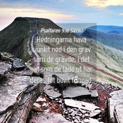 Picture 04 - Psaltaren 9:16 SV1917 - Hedningarna hava sjunkit ned i den grav som de - Bible Verse Picture