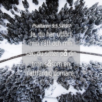 Picture 04 - Psaltaren 9:5 SV1917 - Ja, du har utfört min rätt och min sak; du - Bible Verse Picture