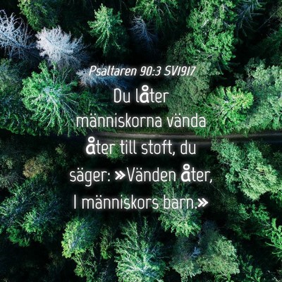 Picture 04 - Psaltaren 90:3 SV1917 - Du låter människorna vända åter till stoft, - Bible Verse Picture