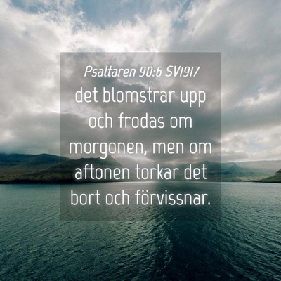 Picture 04 - Psaltaren 90:6 SV1917 - det blomstrar upp och frodas om morgonen, men om - Bible Verse Picture