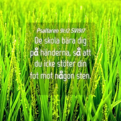 Picture 04 - Psaltaren 91:12 SV1917 - De skola bära dig på händerna, så att du icke - Bible Verse Picture