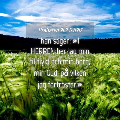 Picture 04 - Psaltaren 91:2 SV1917 - han säger: »I HERREN har jag min tillflykt och - Bible Verse Picture