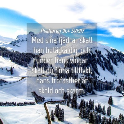 Picture 04 - Psaltaren 91:4 SV1917 - Med sina fjädrar skall han betäcka dig, och - Bible Verse Picture