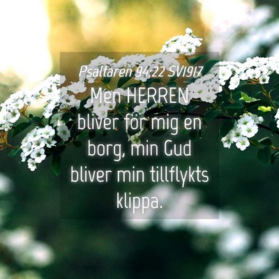 Picture 04 - Psaltaren 94:22 SV1917 - Men HERREN bliver för mig en borg, min Gud - Bible Verse Picture